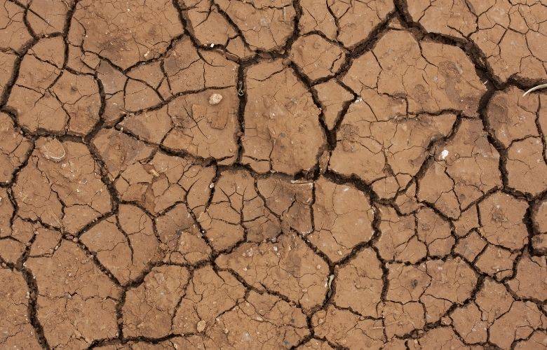 TheBunkerNoticias | El país con sequías anormales, admite Conagua