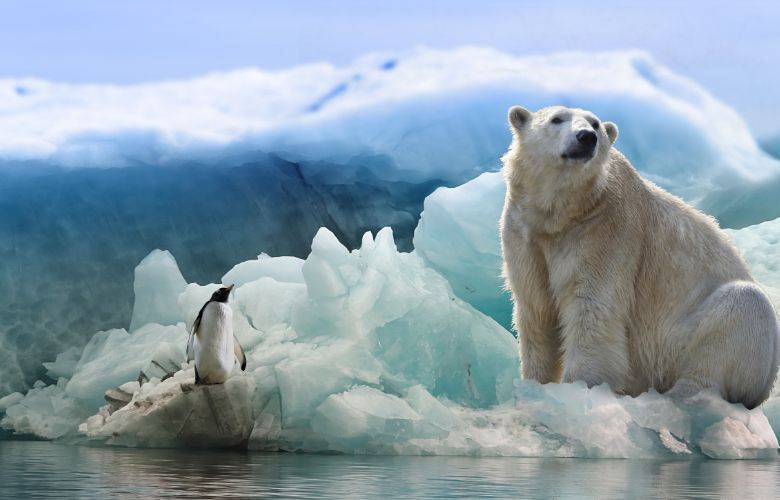 El Ártico cuatro veces más caliente que el resto de la tierra
