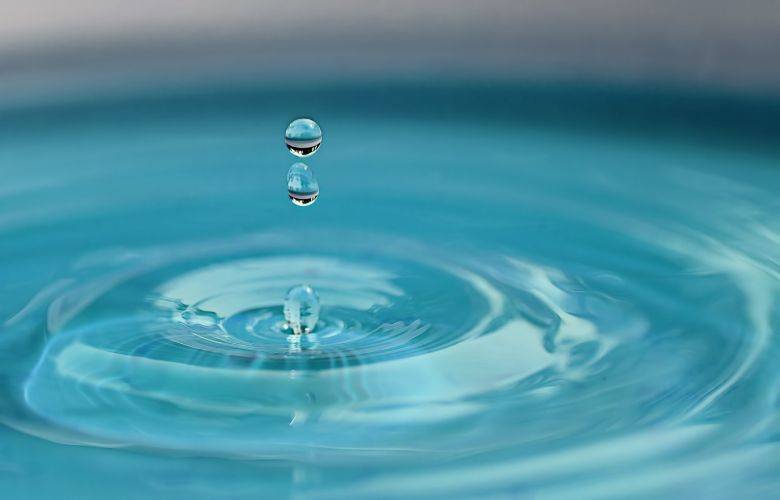 TheBunkerNoticias | Menos del uno por ciento del agua se destina al consumo humano