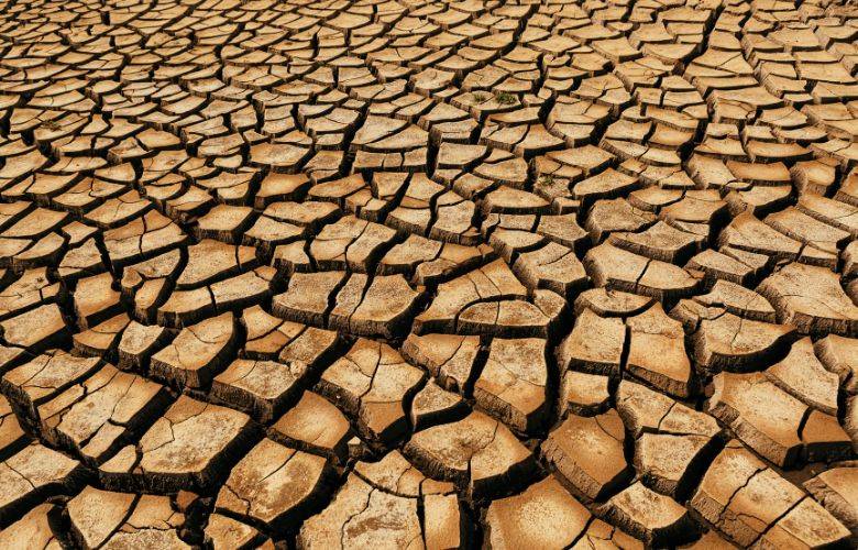 TheBunkerNoticias | Sequía sin FONDEN