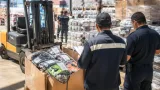 Aduana de Lázaro Cárdenas asegura 28,800 prendas sospechosas de ser apócrifas
