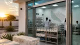 Aguascalientes implementará liberación de mosquitos con Wolbacha para combatir el dengue