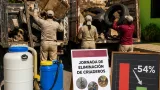 Coatzacoalcos registra descenso del 54% en casos de dengue tras jornada integral de prevención