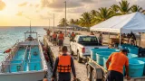 Cozumel, posible sede del primer santuario de delfines en México