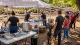 Culiacán: jornada gratuita de esterilización en Infonavit Cañadas y avisos para la semana
