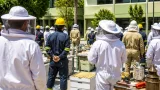 Gómez Palacio capacita a personal municipal para rescate sustentable de abejas