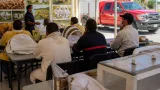 Gómez Palacio fortalece rescate sustentable de abejas con capacitación a cuerpos de emergencia