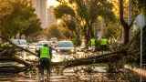 Guadalajara: tormenta vespertina deja 32 árboles caídos e inundaciones en la ciudad