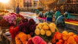 Huamantla recupera color: lluvias adelantan floración de dalias y el festival abrirá el 20 de julio