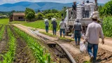 Iguala fortalece producción de maíz con insumos, riego y obras rurales