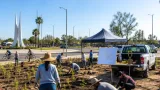 Lerdo proyecta segundo Bosque Urbano de 17 mil m² junto a la rotonda Hermila Galindo