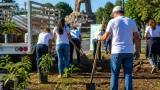 Morelia convoca a vecinos a jornada de reforestación “Adopta un Árbol”