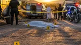 Operativo Muralla deja un presunto fallecido y aseguramiento de arma en Doctor Coss