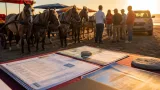 Playas de Rosarito: gobierno y municipio estudian regular paseos a caballo por bienestar animal