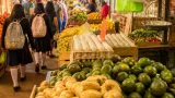 Precios de la canasta en Cuernavaca: huevo baja, aguacate y papa siguen caros en ALM