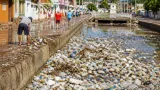 Salina Cruz: la basura en calles y canales, un riesgo creciente para salud y servicios
