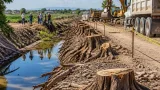 Tala de 215 árboles pone en riesgo el canal San Miguel y cultivos en Ciudad Juárez