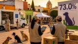 Tlaxcala, segundo lugar nacional en hogares con mascotas; 73% de viviendas reporta animales