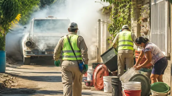 Comalcalco refuerza fumigación y eliminación de criaderos contra el dengue del 13 al 17 de julio