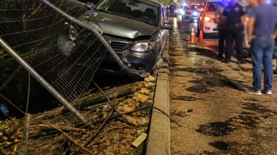 Conductor presuntamente ebrio daña mallas de manglar en Ciudad del Carmen