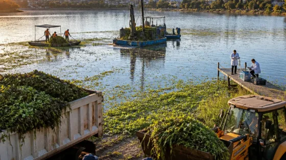 Corregidora refuerza apoyo en limpieza de la presa El Batán en coordinación con Conagua