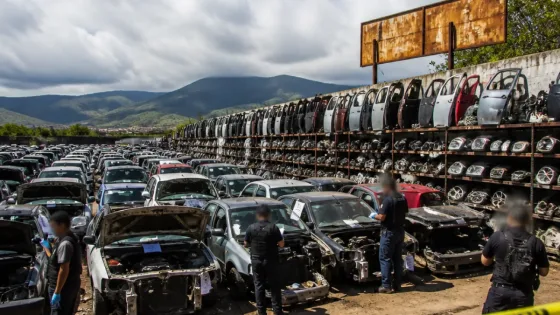 Desmantelan en Xalisco centro de resguardo de autos robados; hallan más de 100 unidades