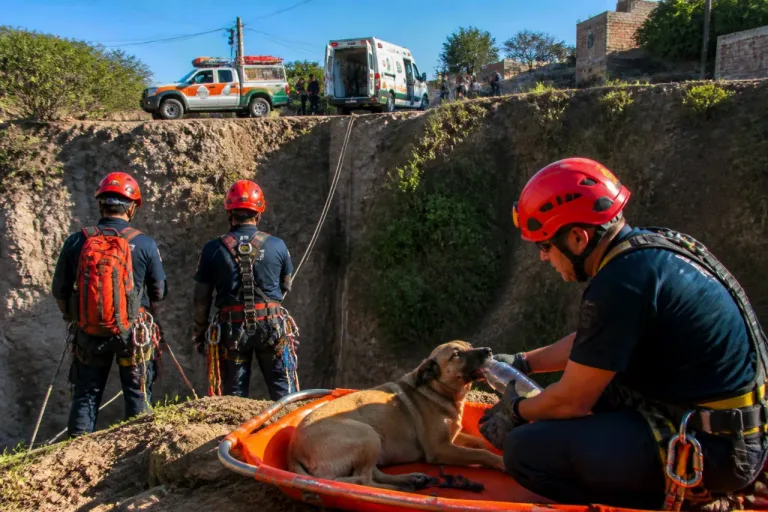 Bomberos de Tonalá rescatan a perro tras caer en barranco de 20 metros