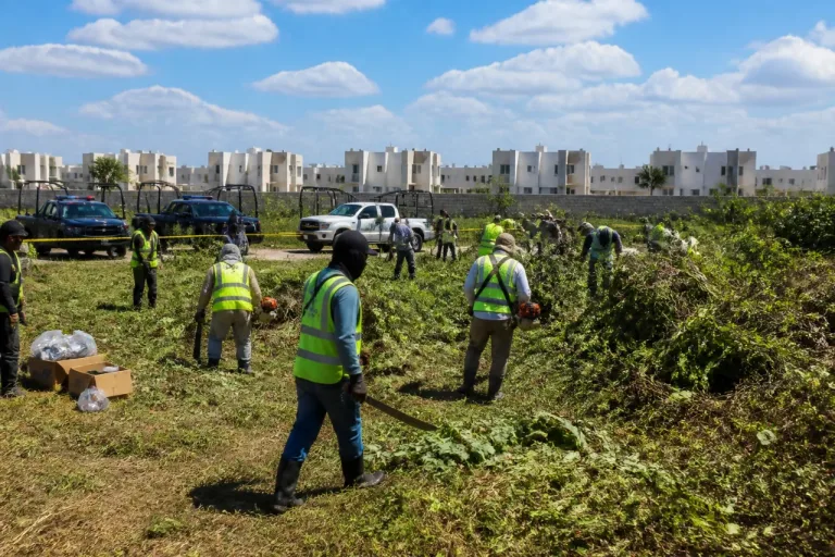 Coatzacoalcos: colectivo y autoridades inspeccionan predio cercano a Punta Caracol en jornada de búsqueda