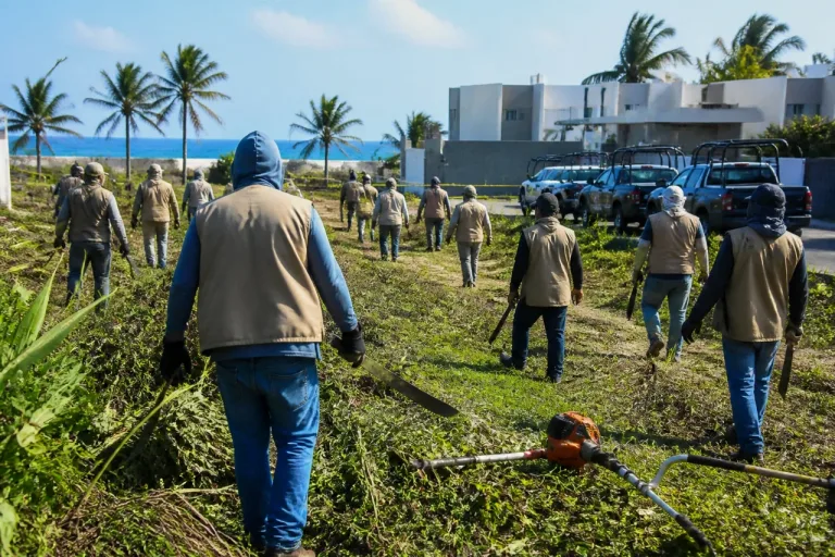 Coatzacoalcos: colectivos y autoridades rastrillan predio cercano a la playa en busca de restos