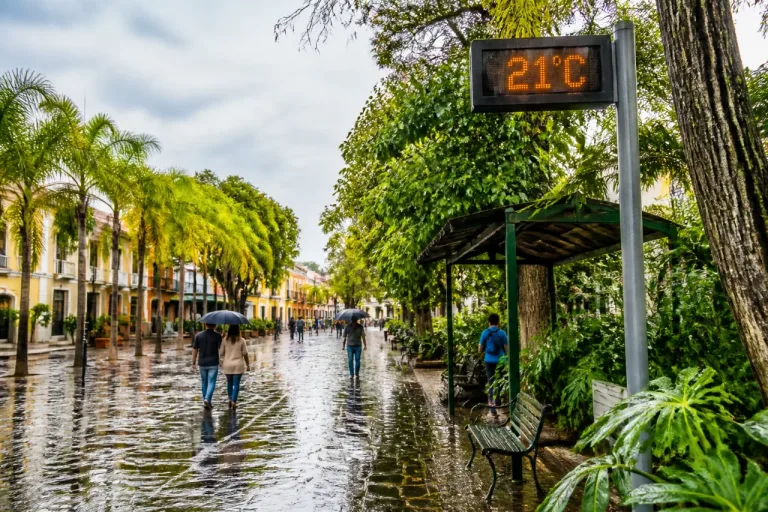 Cuernavaca: lluvia ligera y ambiente templado; mantiene pronóstico de días nublados