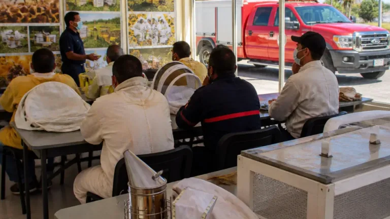 Gómez Palacio fortalece rescate sustentable de abejas con capacitación a cuerpos de emergencia