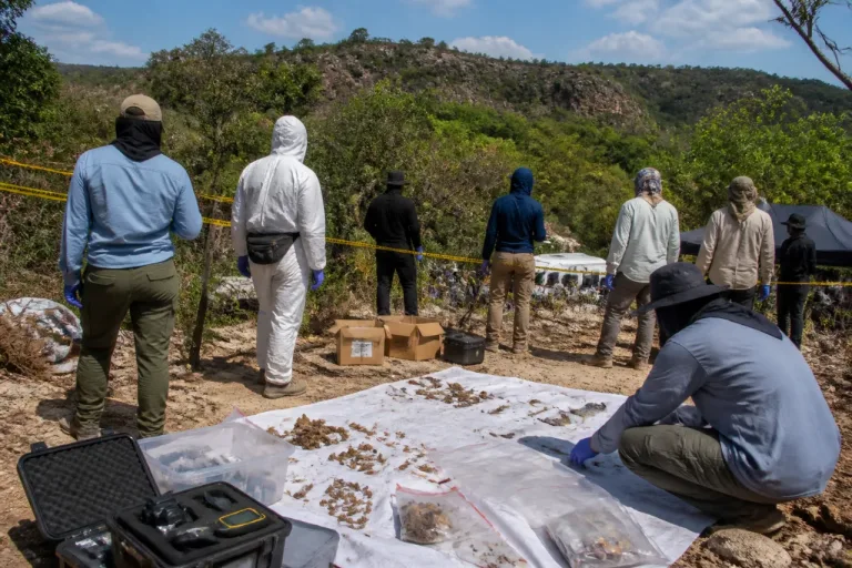 Hallan restos óseos tras prospección forense en la sierra de Tabasco, Zacatecas