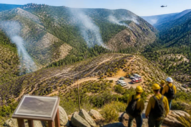 Incendio en Sierra San Pedro Mártir mantiene en alerta a Ensenada; Bomberos reportan 75% de control