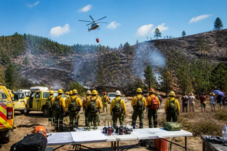 Michoacán reduce más del 60% la superficie afectada por incendios en el primer semestre