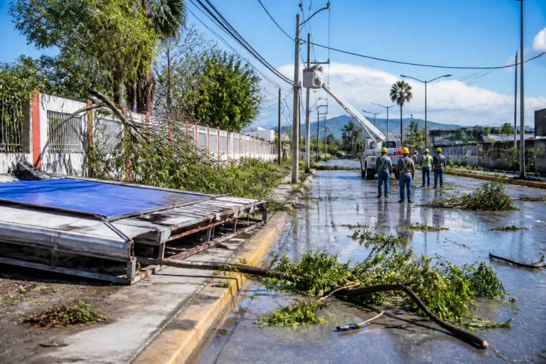 Monclova: intensa tormenta deja árboles caídos, anuncios derribados y cortes de luz