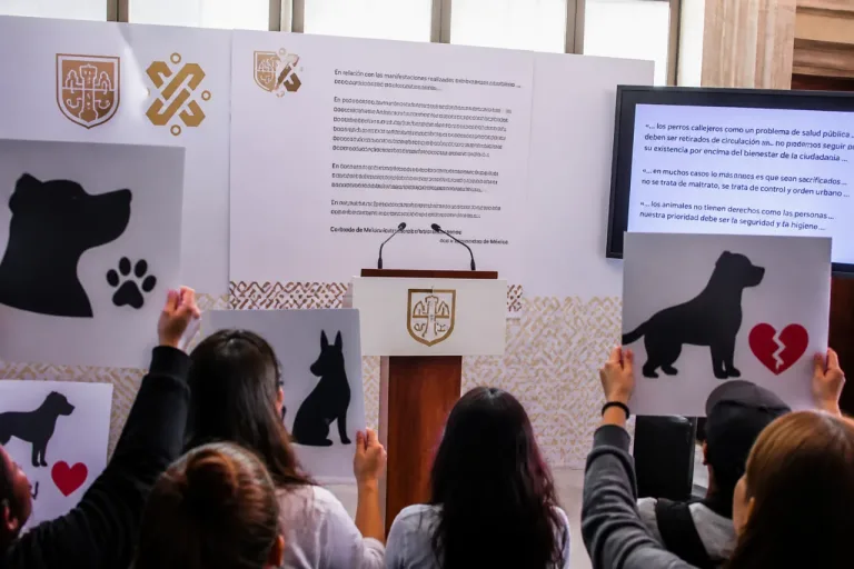 PAOT reprueba declaraciones de Pedro Sola y advierte posible acción legal por incitar maltrato animal