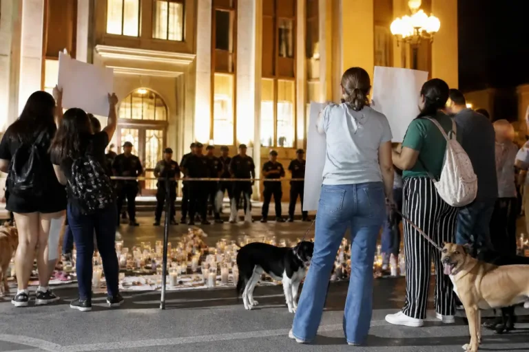 Saltillo: activistas exigen sanción máxima por maltrato de al menos 20 perros