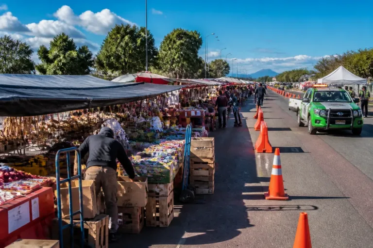 Tianguis de los Miércoles cambia de sede temporal en Huamantla por la Feria