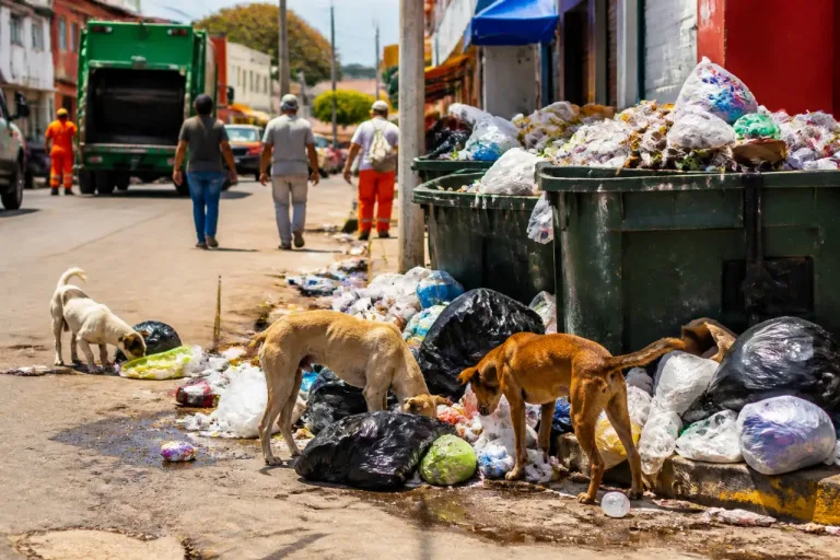 Tuxtla Gutiérrez: vecinos de Albania Baja denuncian foco de infección por contenedores de basura
