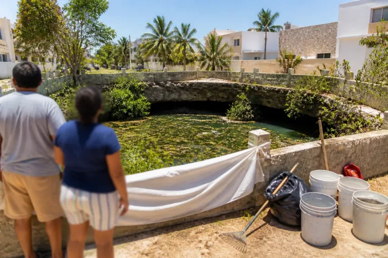 Vecinos exigen rescate de cenote en Playa del Carmen por posible contaminación